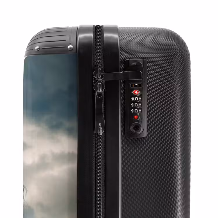 Valise - Cheval marron courant — 5