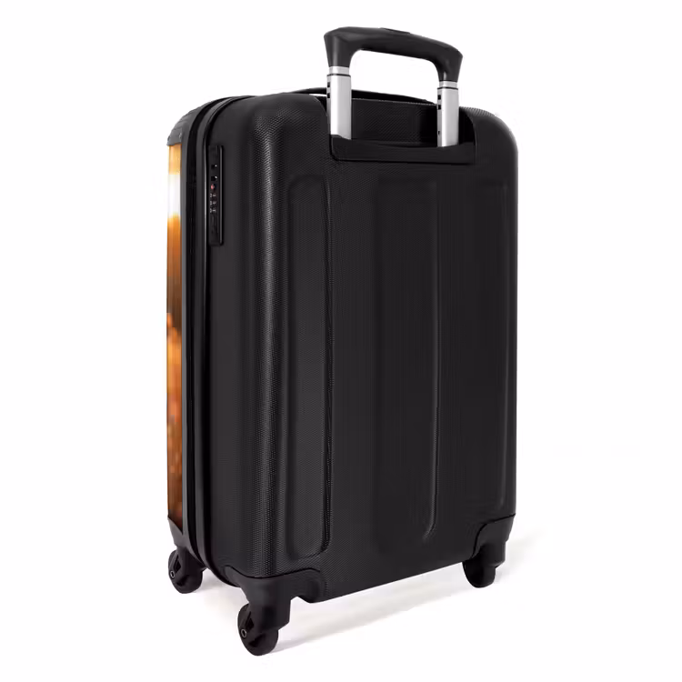 Valise - Cheval brun au pâturage — 3
