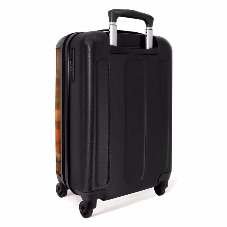 Valise - Deux lions bruns — 3