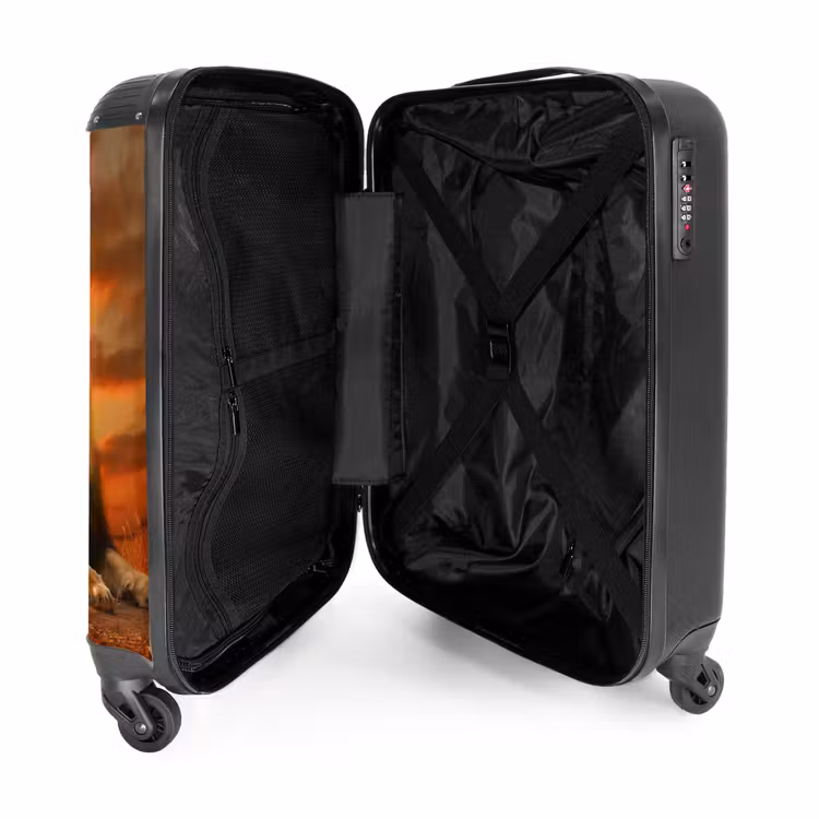 Valise - Deux lions bruns — 4
