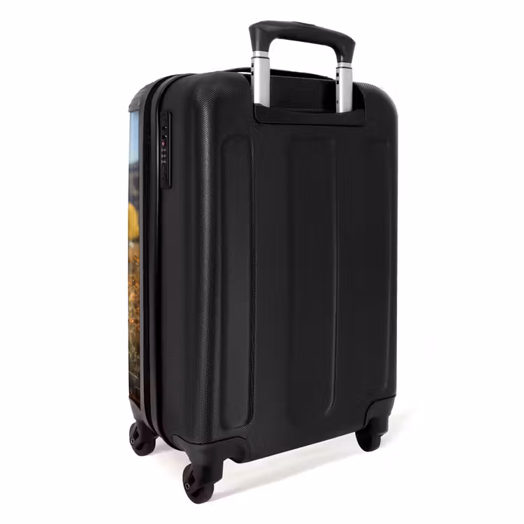 Valise - Highlander écossais au pâturage — 3