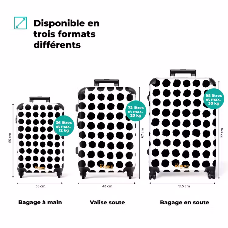 Valise - Points bruts sous forme de grille — 3
