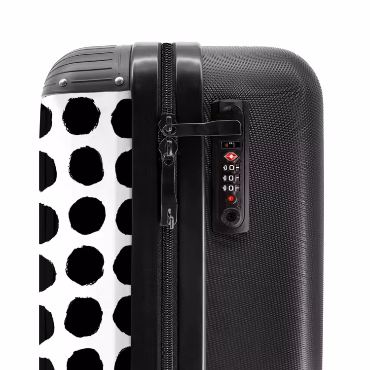 Valise - Points bruts sous forme de grille — 6
