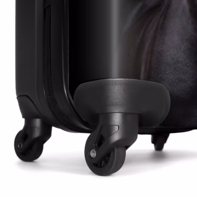 Valise - Étalon frison — 6