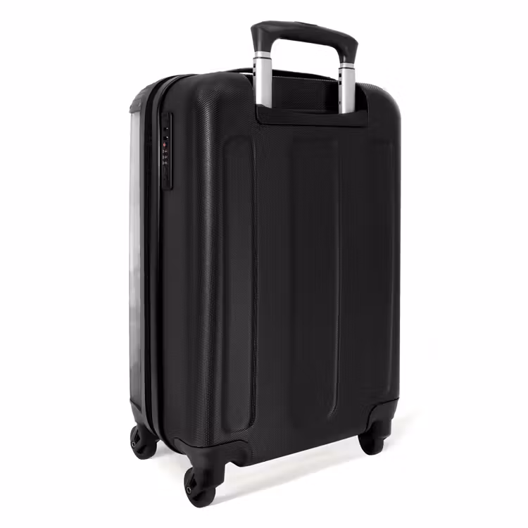 Valise avec nom - Portrait statique d'un cheval noir — 4