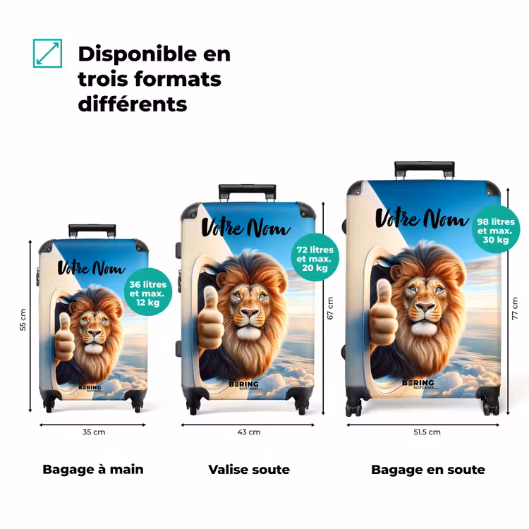 Valise avec nom - Lion pilote de l'air — 3