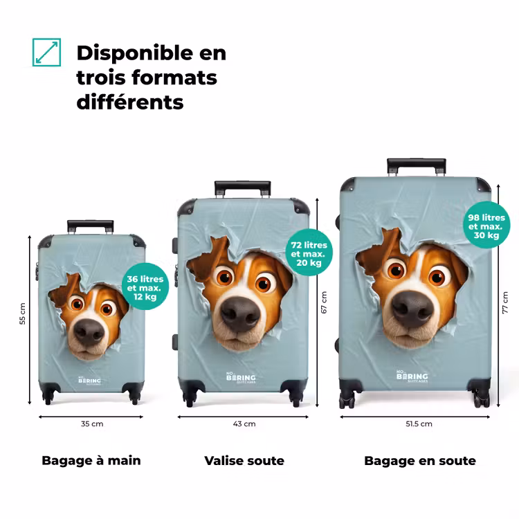 Valise - Chien marron à travers un plastique bleu déchiré — 3