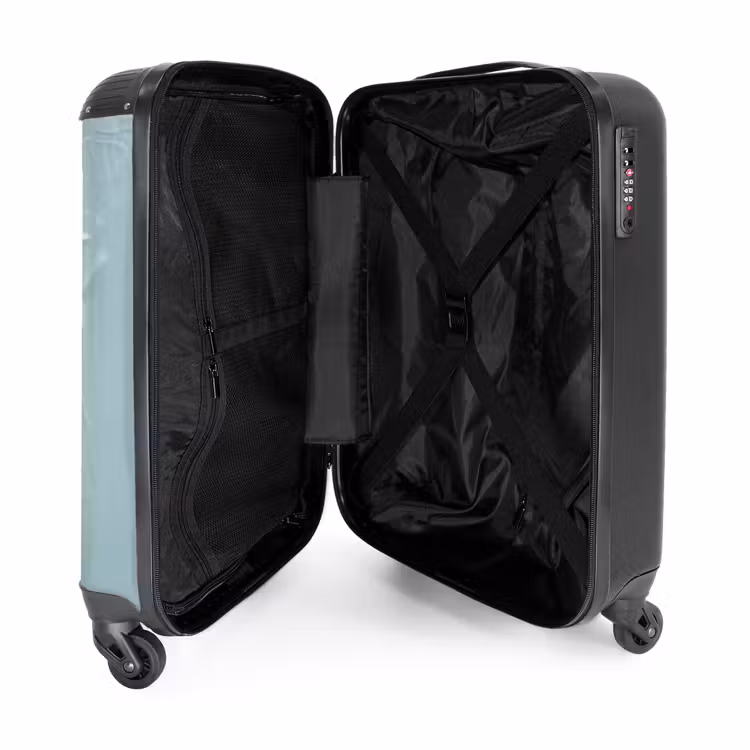 Valise - Chien marron à travers un plastique bleu déchiré — 5