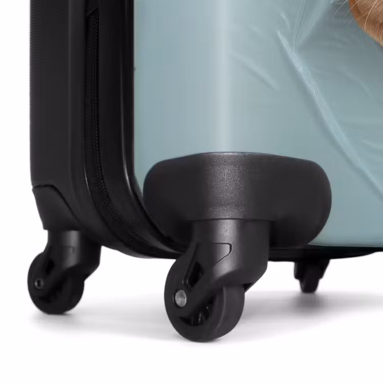 Valise - Chien marron à travers un plastique bleu déchiré — 7
