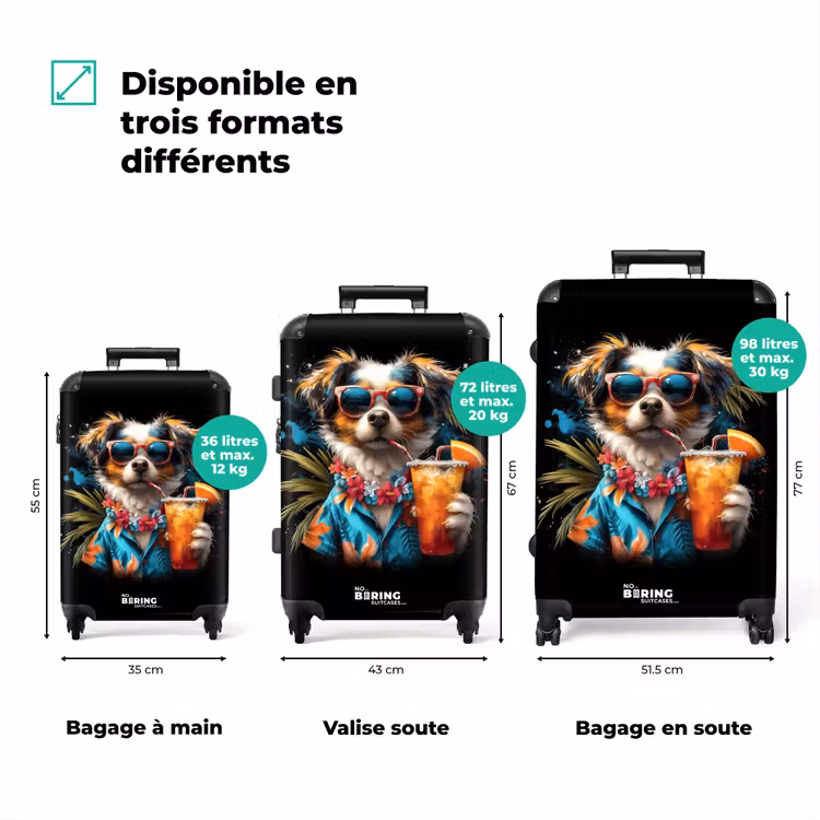 Valise - Chien dans les sphères tropicales — 3