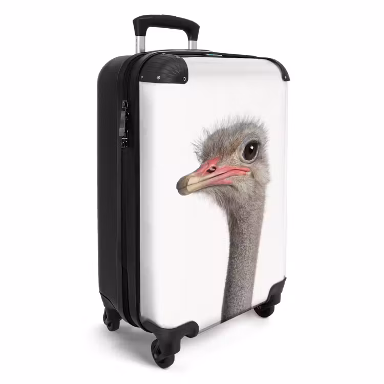 Valise - Autruche Siebrina — 2