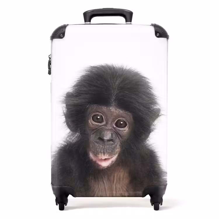 Valise - Charlie Chimp — 1
