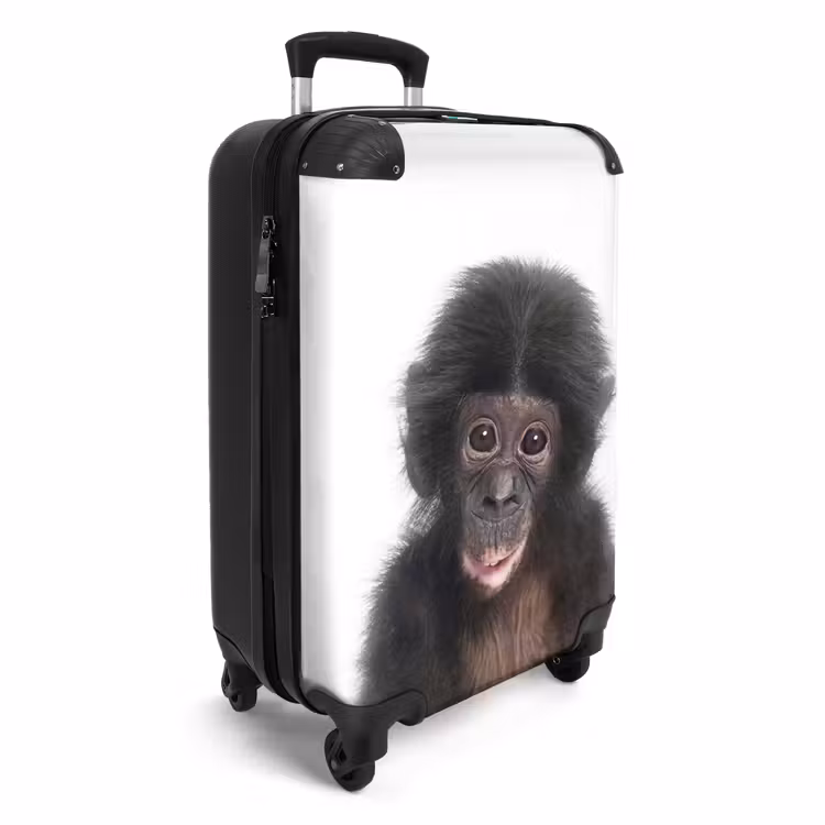 Valise - Charlie Chimp — 2