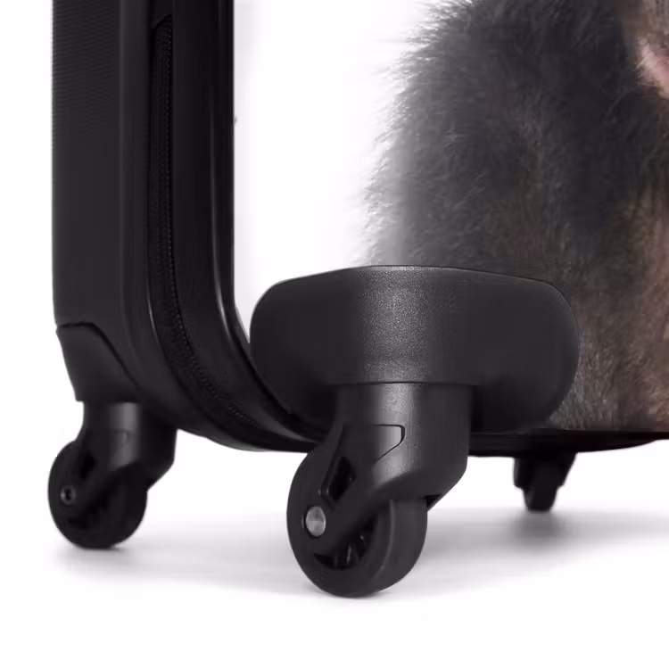 Valise - Charlie Chimp — 6