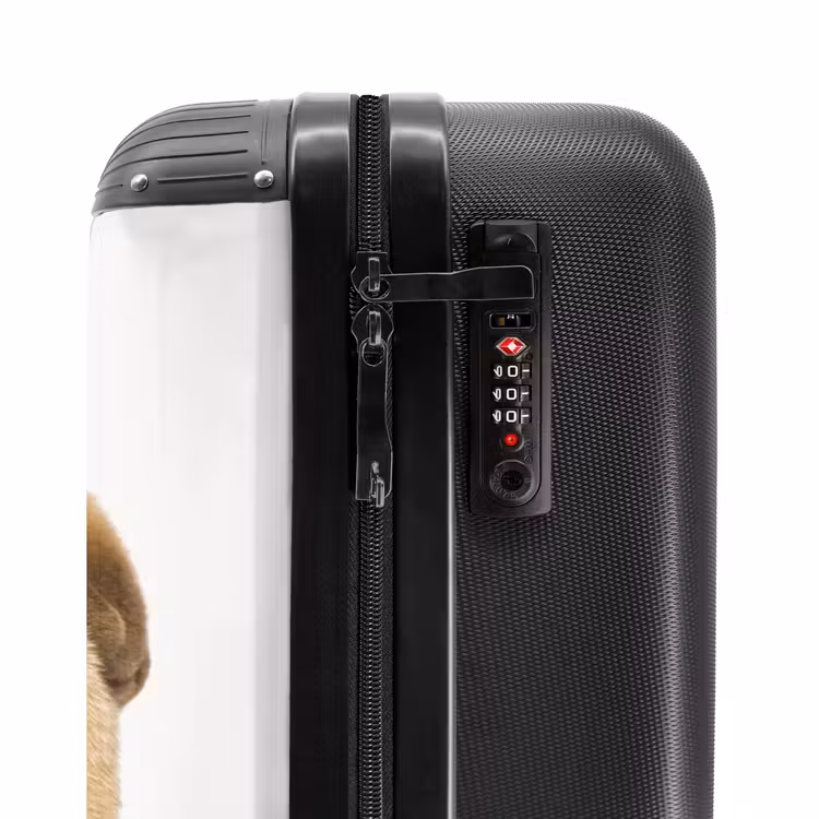 Valise - Chien à la tête en colère — 5