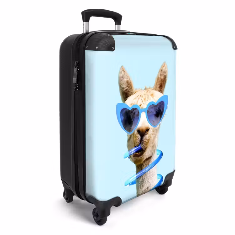 Valise - Allard Alpaca — 2