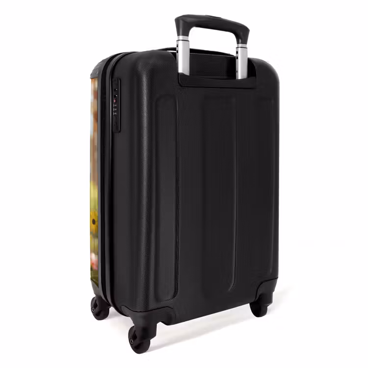 Valise - Benno Bloembouwer — 3