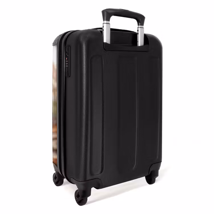 Valise - Bertus Bouwbever — 3