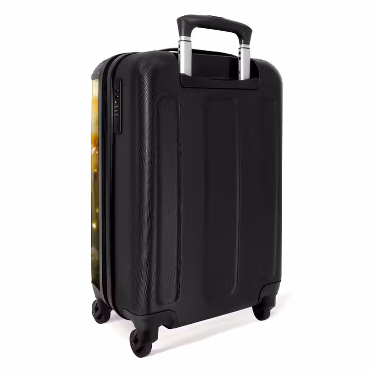 Valise - Chaton Koosje — 3
