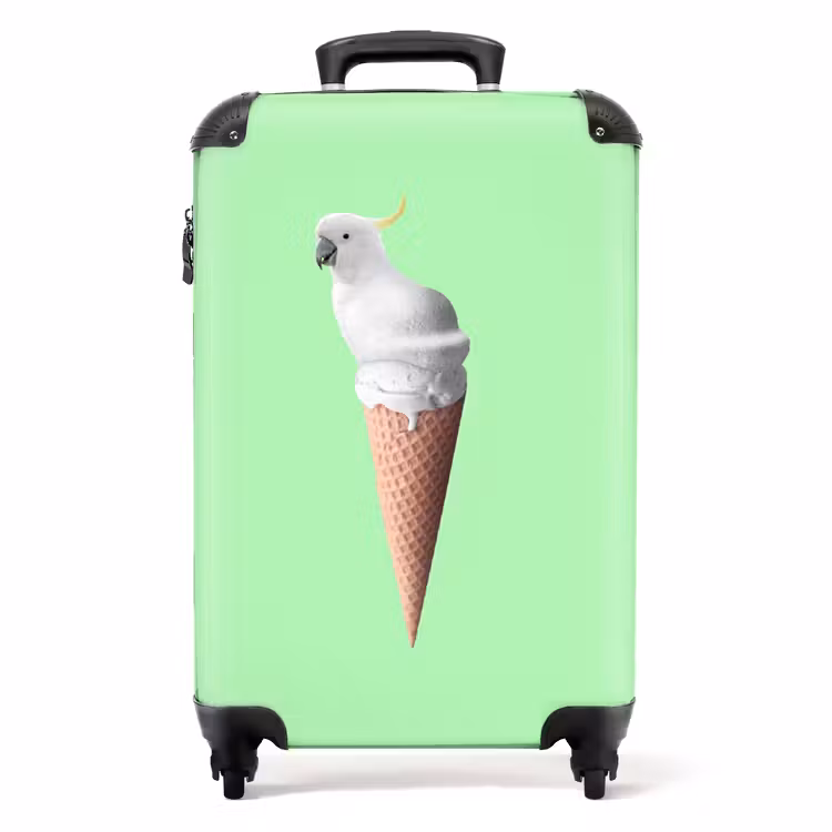 Valise - Cône de cacatoès — 1
