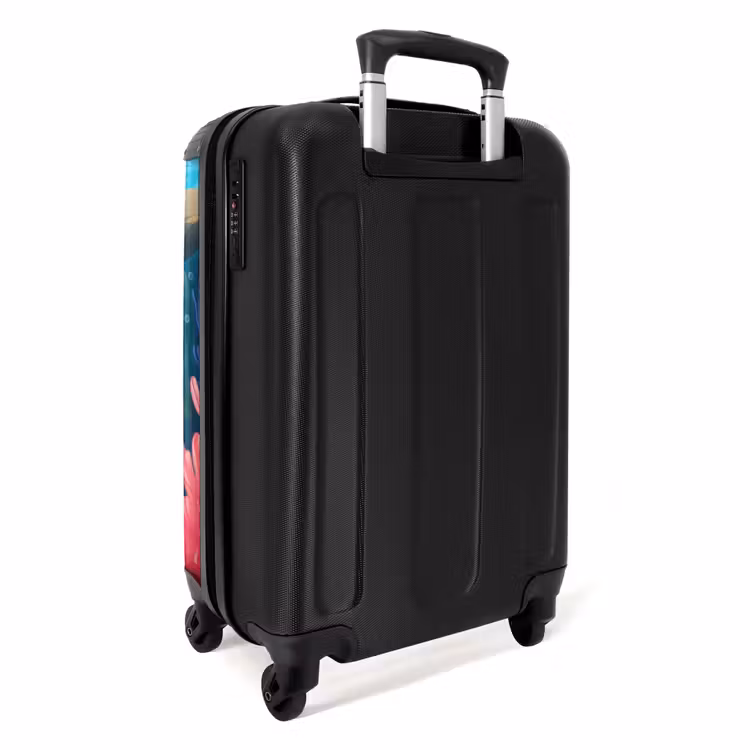 Valise - Dauphin Dauphin — 3