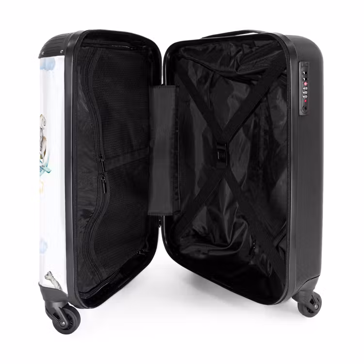 Valise - Dinosaures errants — 4
