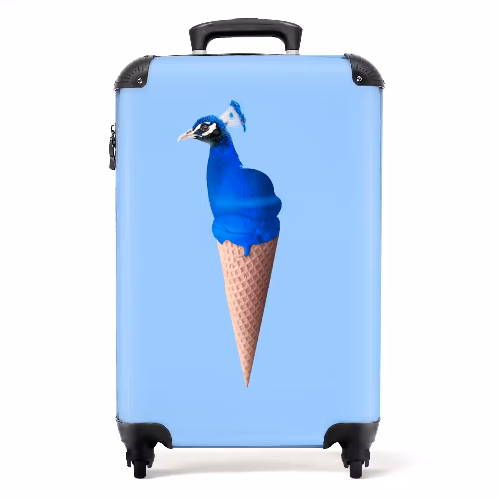 Valise - Cône de paon — 1
