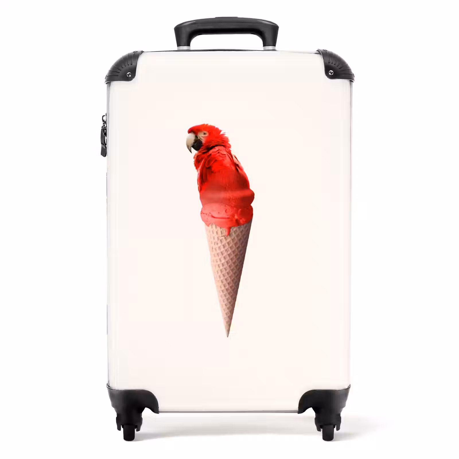 Valise - Cône de perroquet — 1