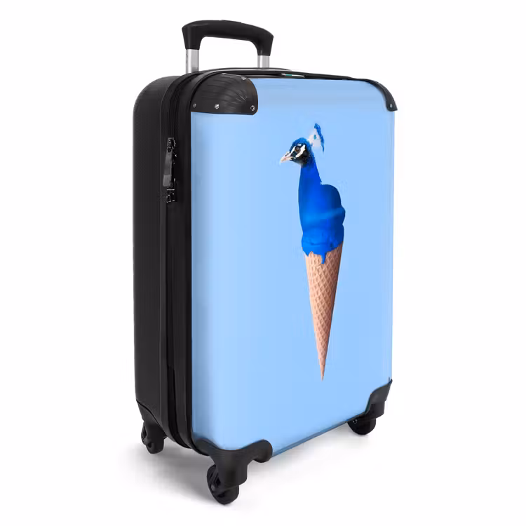 Valise - Cône de paon — 2