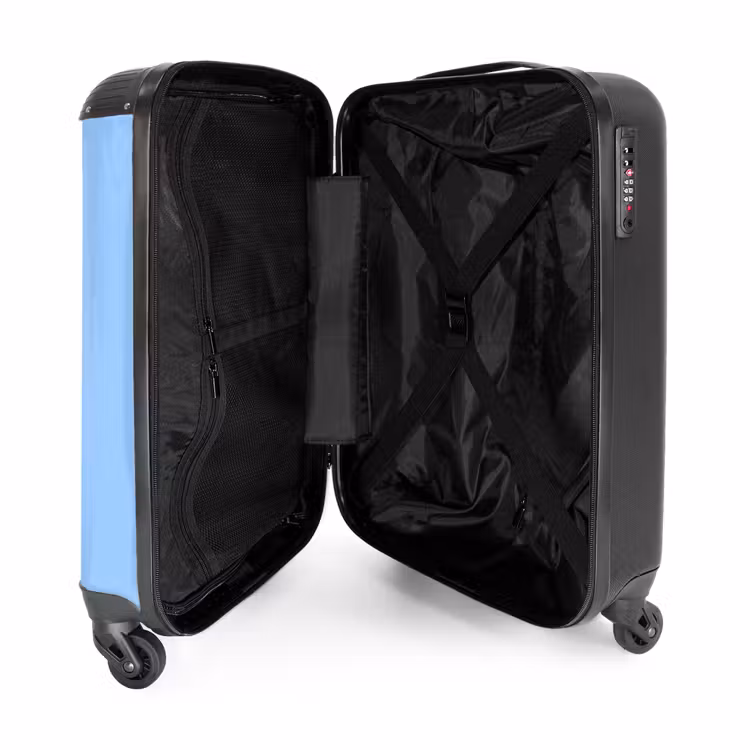 Valise - Cône de paon — 4