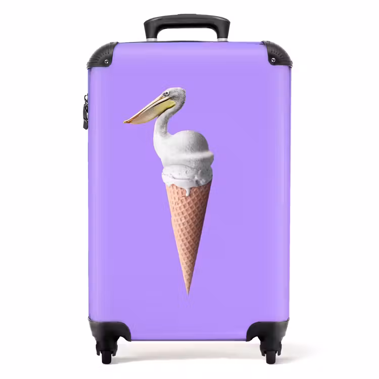 Valise - Cône pélican — 1