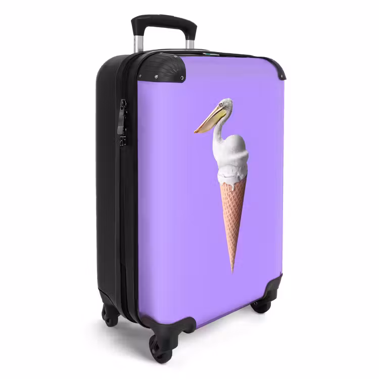 Valise - Cône pélican — 2
