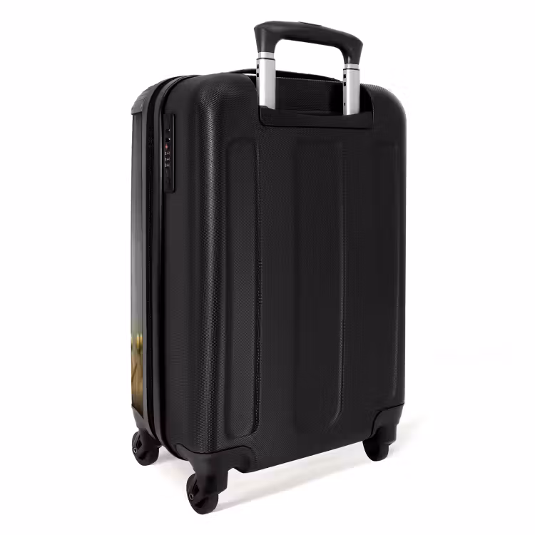 Valise - Valérie faon des champs — 7