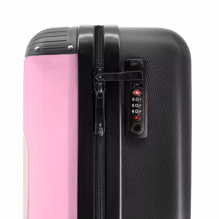Valise - Unicorn airways — 5