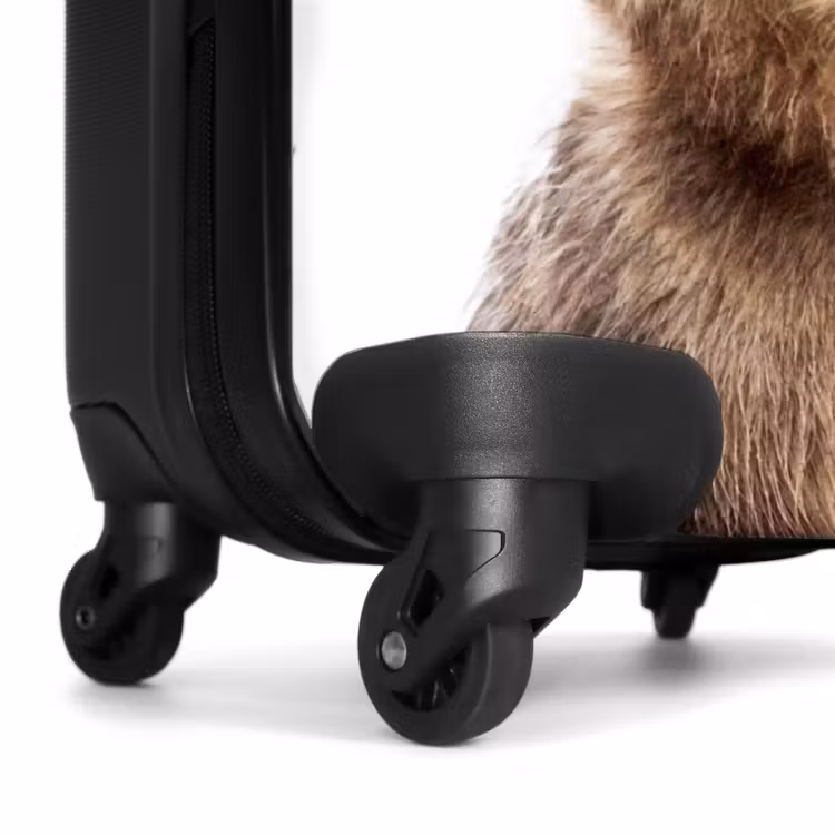 Valise - Bennie Bear — 6