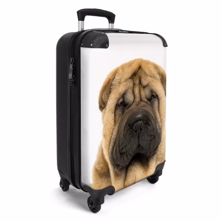 Valise - Chien à la tête en colère — 2