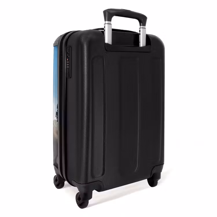 Valise - Darius Dino — 3