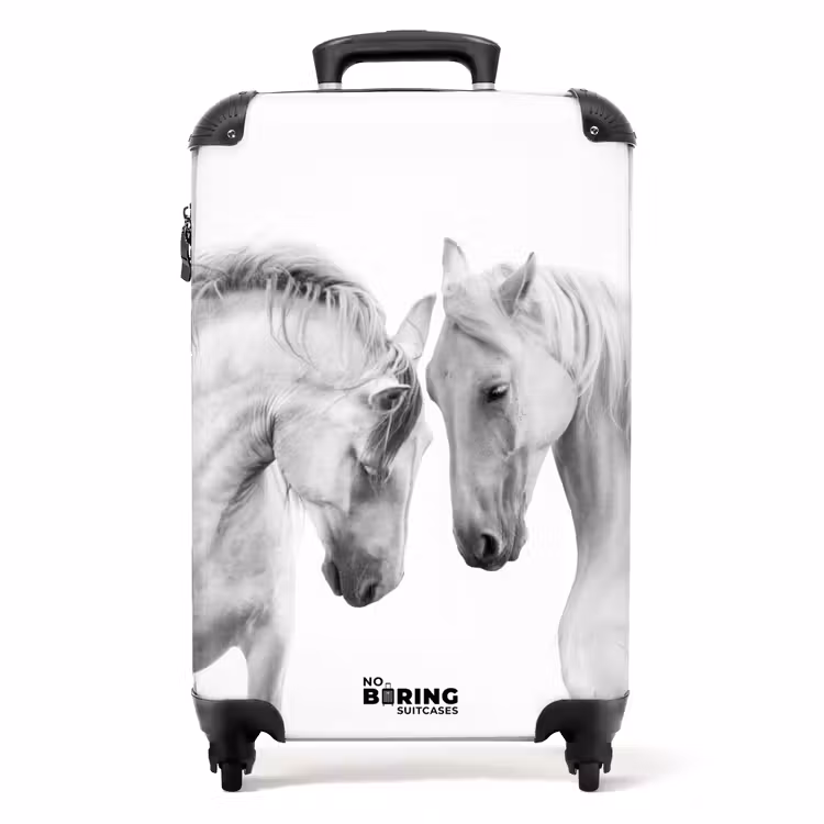Valise - Couple sympathique — 1