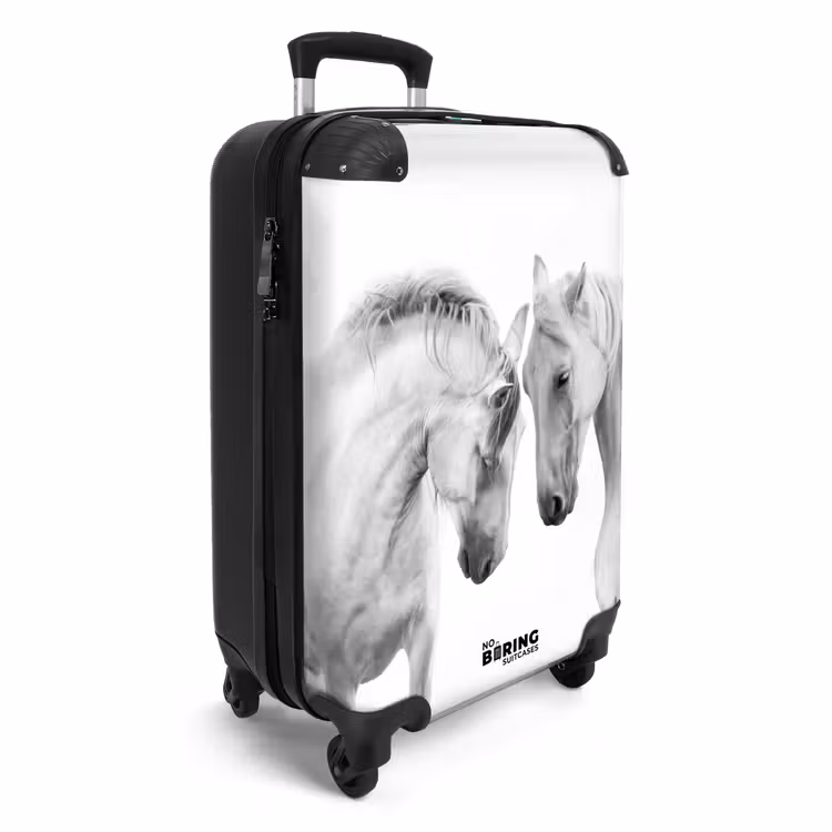 Valise - Couple sympathique — 2