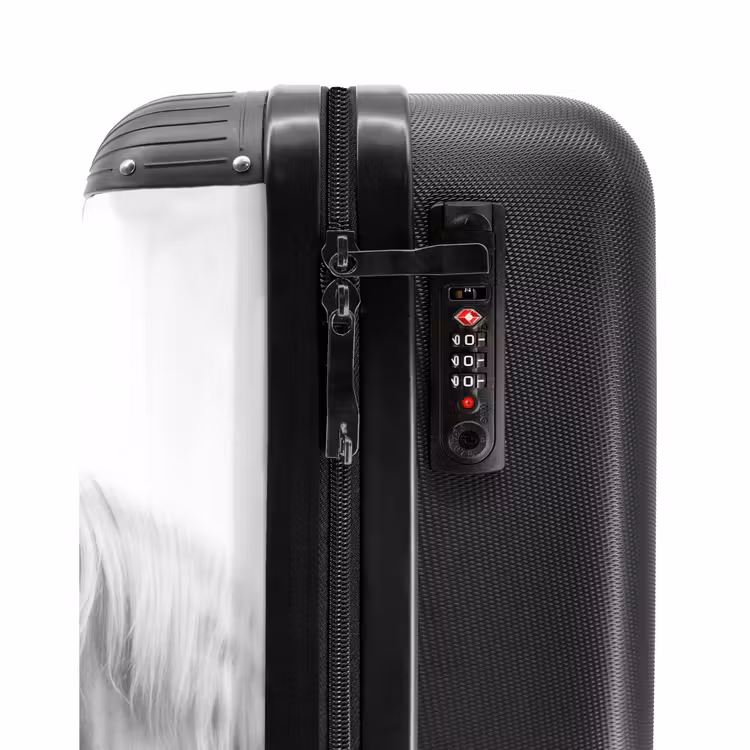 Valise - Couple sympathique — 5