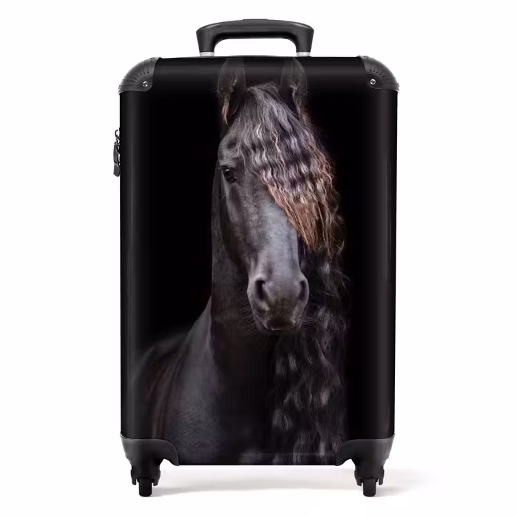 Valise -  Étalon royal — 1