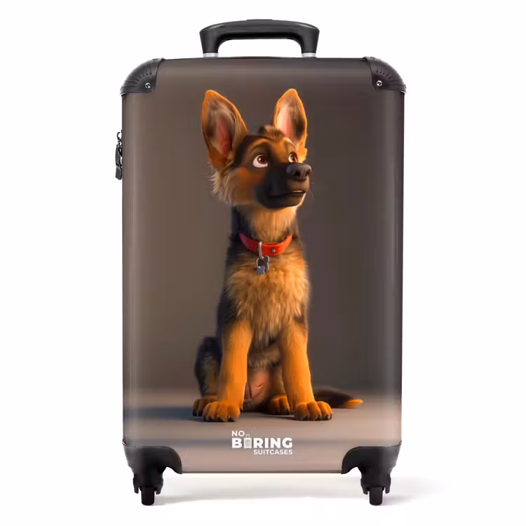 Valise - Berger caché — 1