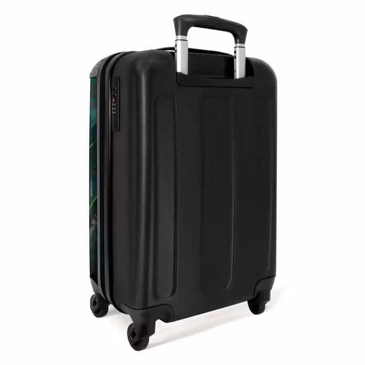 Valise -  Chaton Kees — 3