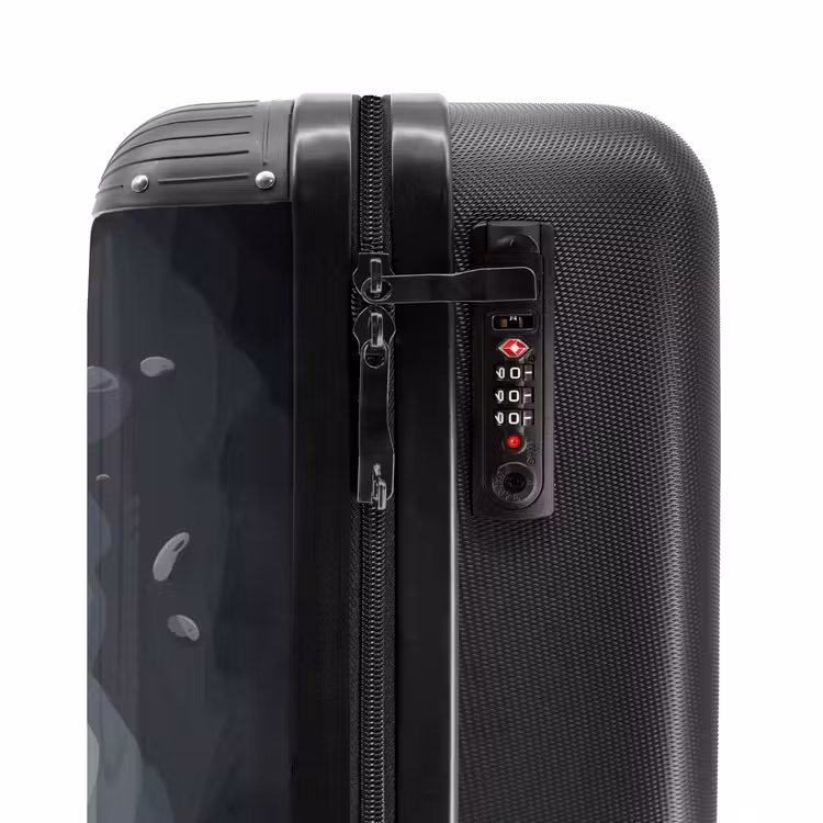 Valise -  Gino queue-de-gris — 5