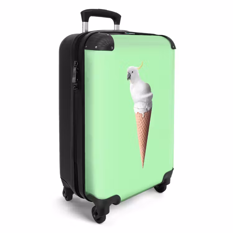 Valise - Cône de cacatoès — 2