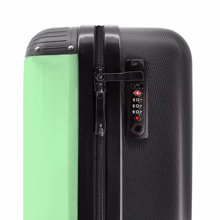Valise - Cône de cacatoès — 5