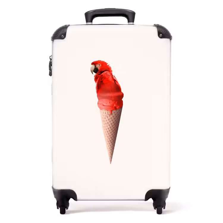 Valise - Cône de perroquet — 1