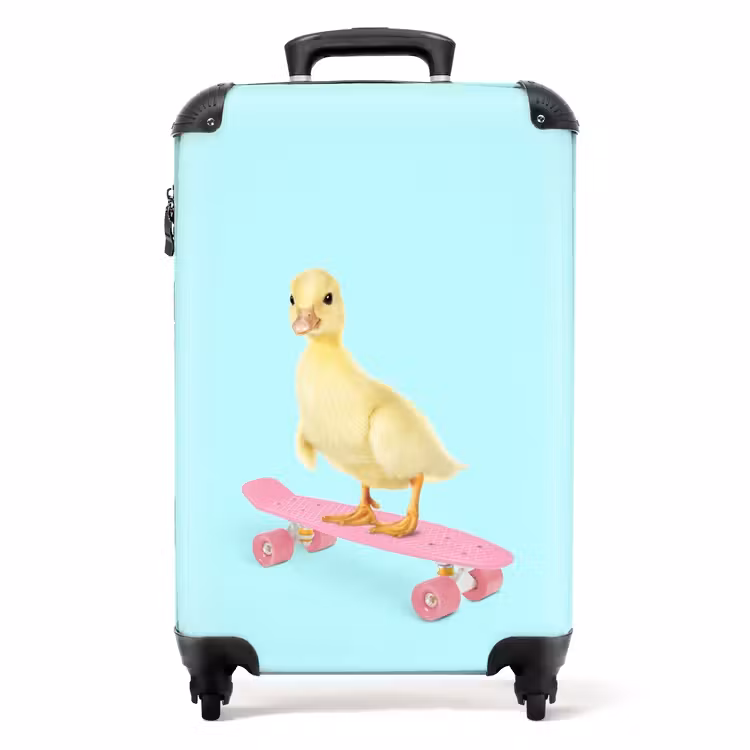 Valise -  Bec patineur — 1