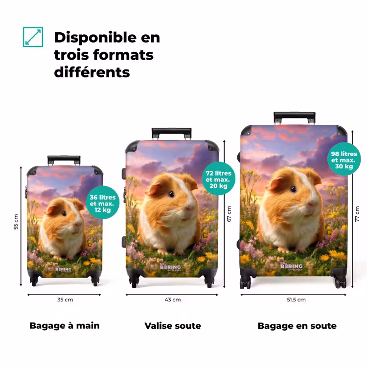 Valise - Hamster parmi les fleurs au coucher du soleil — 3