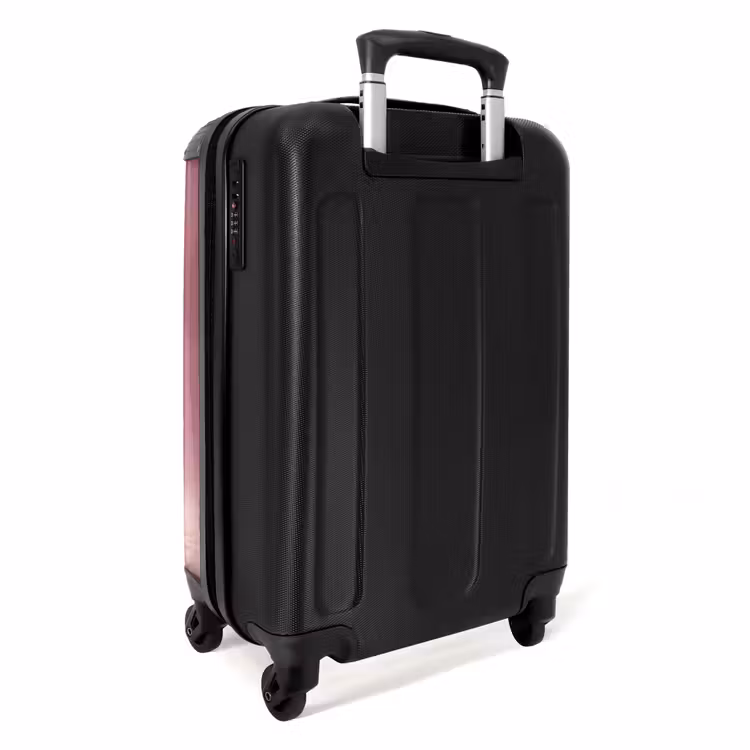Valise - Monstre rose sur la lune — 4